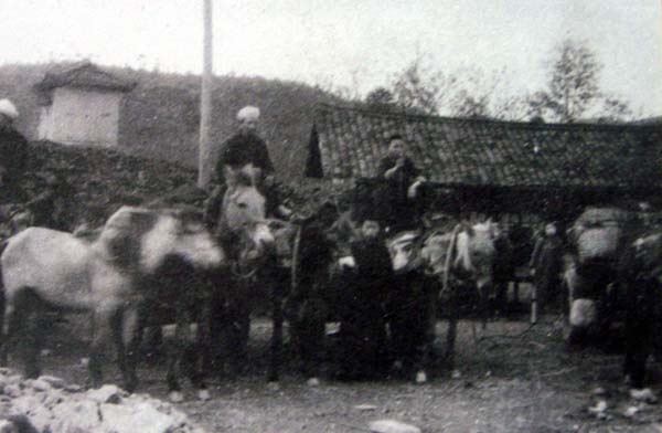 發(fā)展歷程(圖1) 發(fā)展歷程(圖1)