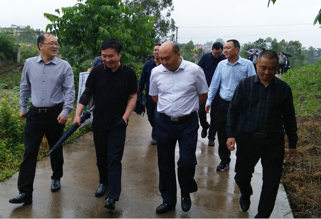 川威集團董事長王勁一行考察仁壽縣(圖1) 川威集團董事長王勁一行考察仁壽縣(圖1)