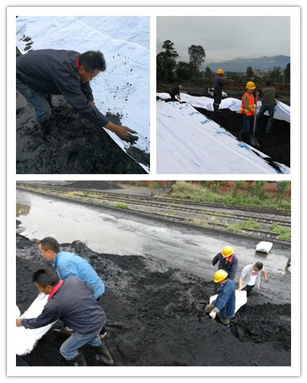 確保物資安全，通宇物流在行動(dòng)(圖1)