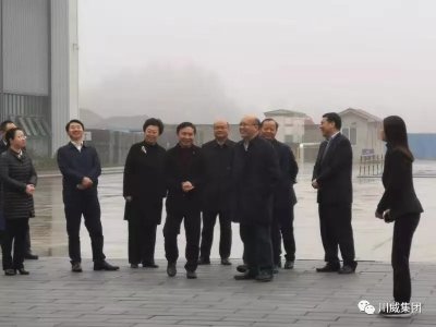 四川省省委常委、組織部長王正譜一行考察調(diào)研川威裝配建筑