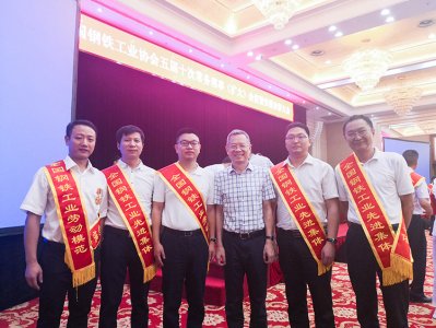 全國鋼鐵行業(yè)表彰先進 釩鈦科技喜獲三項殊榮(圖6) 全國鋼鐵行業(yè)表彰先進 釩鈦科技喜獲三項殊榮(圖6)