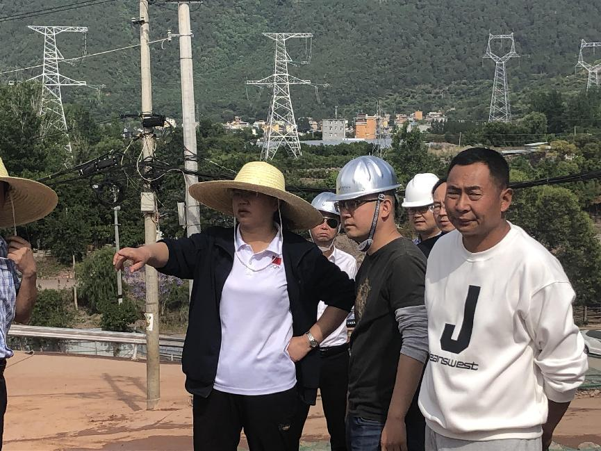 西昌市委副書記、市長宋莉蒞臨海南大石板鄉(xiāng)村振興二期項目視察工作(圖2)