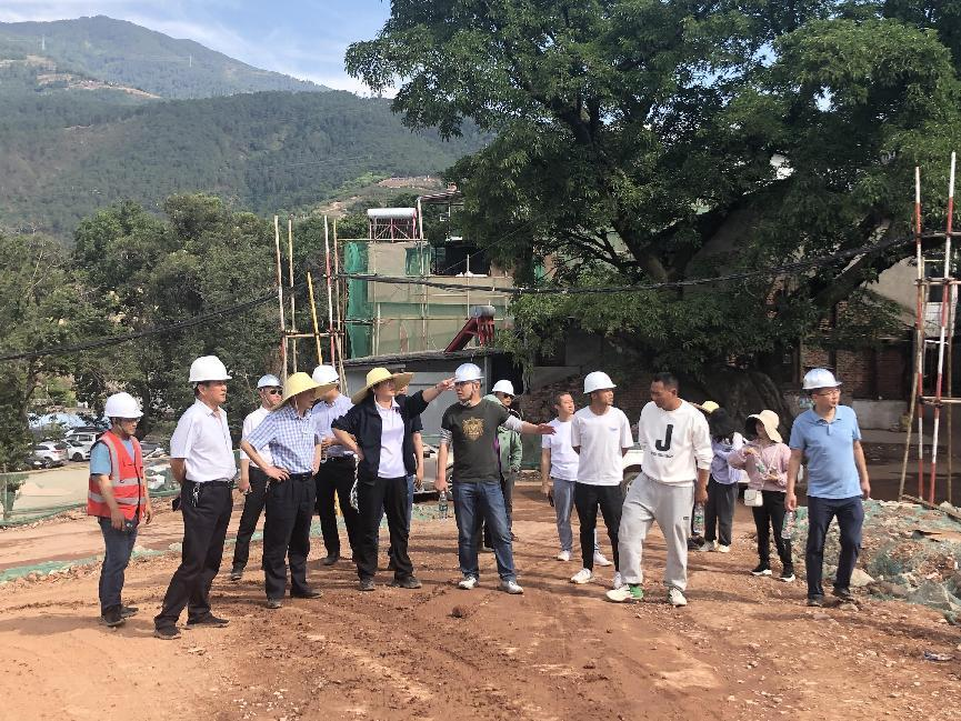 西昌市委副書記、市長宋莉蒞臨海南大石板鄉(xiāng)村振興二期項目視察工作(圖3)