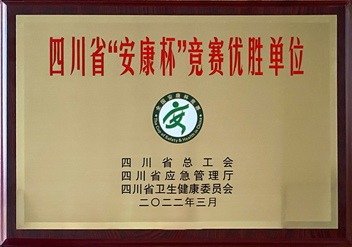 礦業(yè)總公司財(cái)通公司榮獲四川省“安康杯”競(jìng)賽優(yōu)勝單位