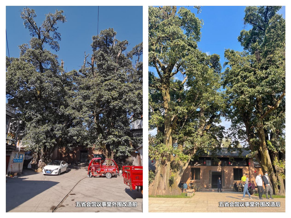 西昌奏響鄉(xiāng)村振興協(xié)奏曲，大石板古村人居翻新篇——大石板鄉(xiāng)村振興項目正式投運(圖3)