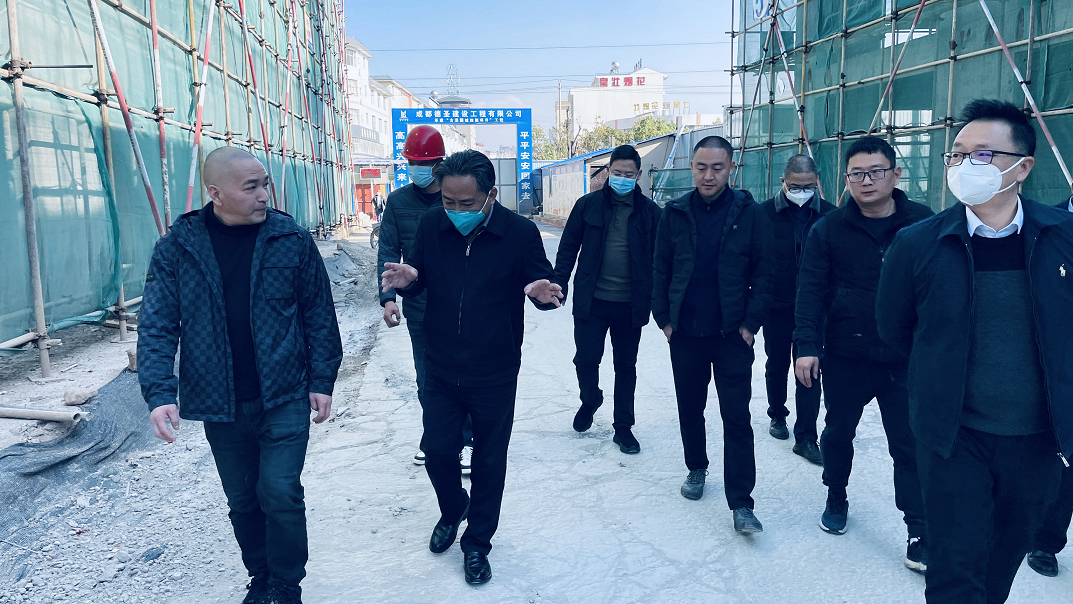 江川區(qū)委書記普光照一行蒞臨古滇國城調(diào)研指導工作(圖2)