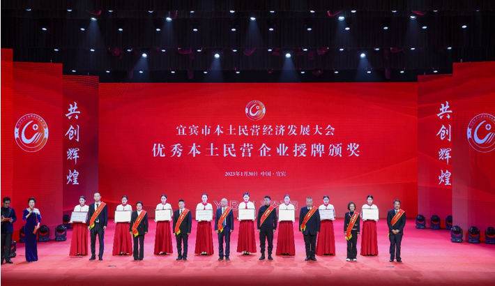 星船城瑞興公司榮獲“宜賓市優(yōu)秀本土民營企業(yè)”榮譽稱號(圖2)