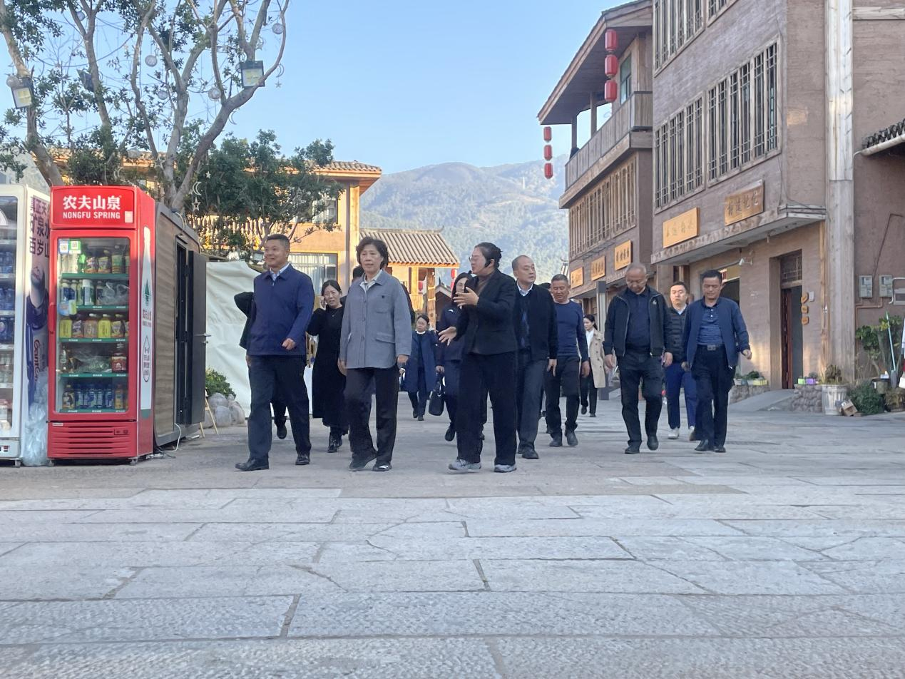 省政協(xié)主席田向利調(diào)研大石板鄉(xiāng)村振興項(xiàng)目