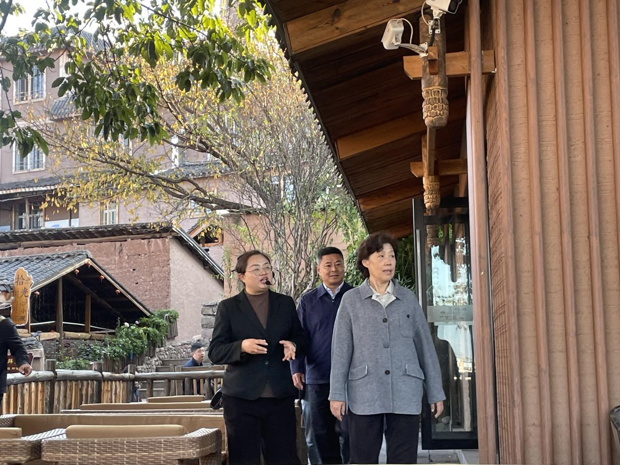 省政協(xié)主席田向利調(diào)研大石板鄉(xiāng)村振興項目(圖2)