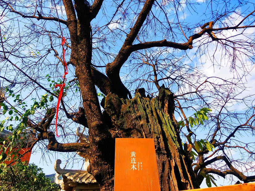 大石板古村：保護(hù)利用讓歷史文化“活”起來 ——全省城鄉(xiāng)建設(shè)歷史文化保護(hù)利用工作現(xiàn)場(chǎng)會(huì)在西昌大石板古村召開(圖3)