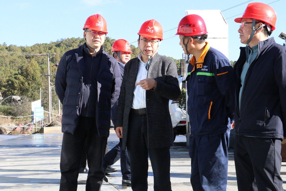 會理市市委副書記劉宇翼到礦業(yè)總公司會理財通公司視察(圖3)