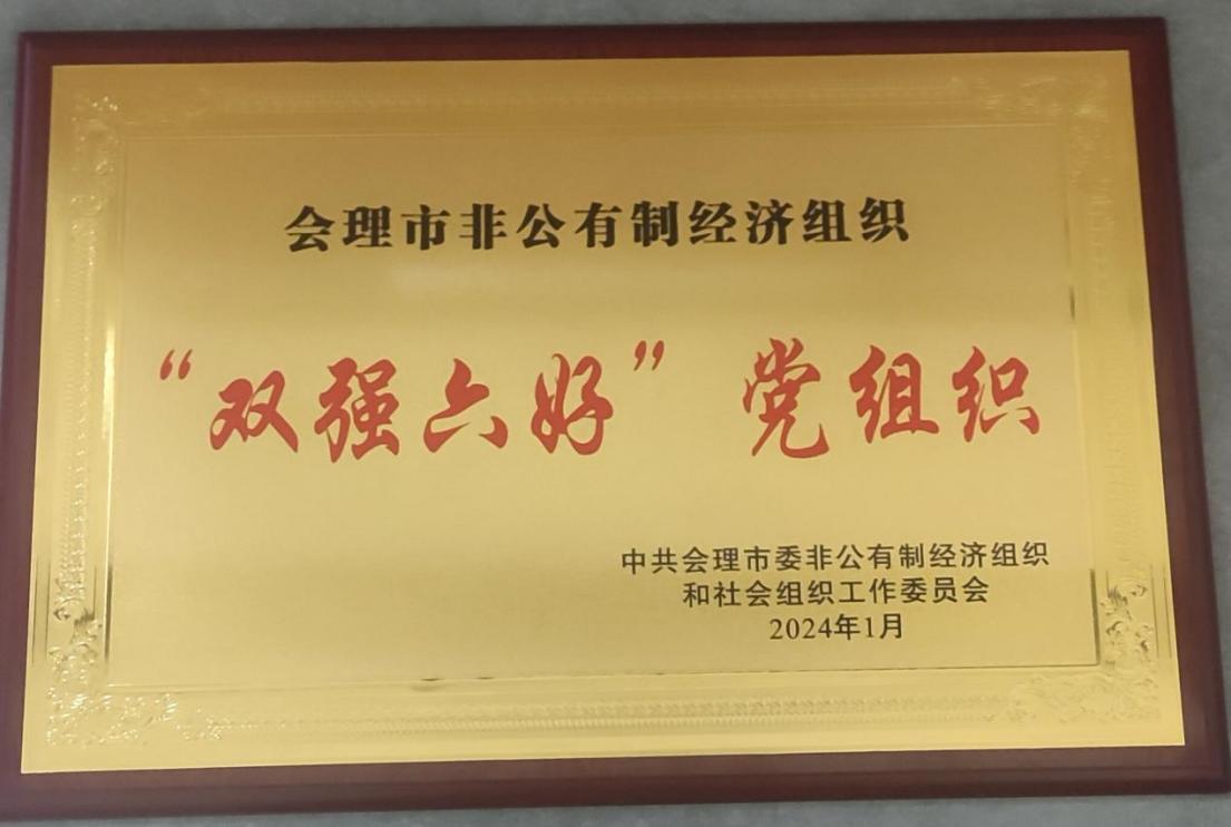 喜訊！礦業(yè)總公司財通公司黨支部榮獲會理市“雙強六好”黨組織稱號