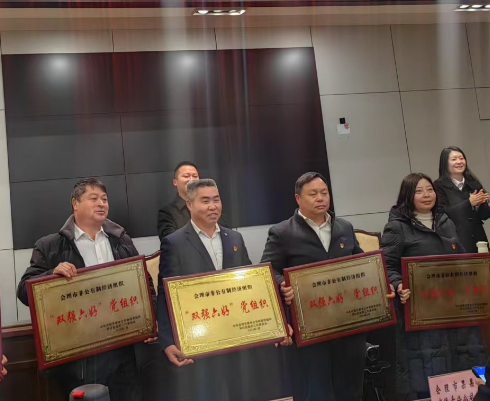 喜訊！礦業(yè)總公司財通公司黨支部榮獲會理市“雙強六好”黨組織稱號(圖2)